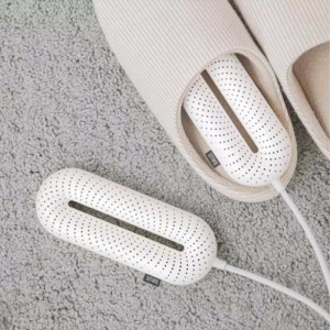 Portable shoe dryer